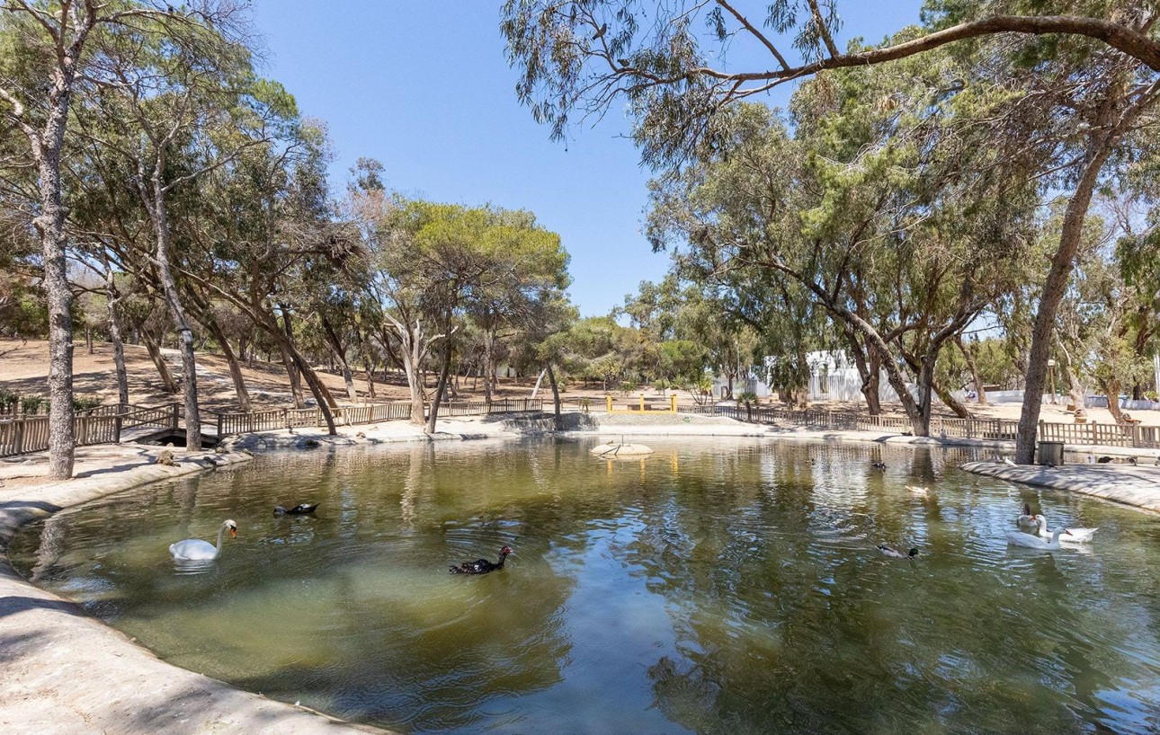 Revente - Attique - Guardamar del Segura - Pueblo