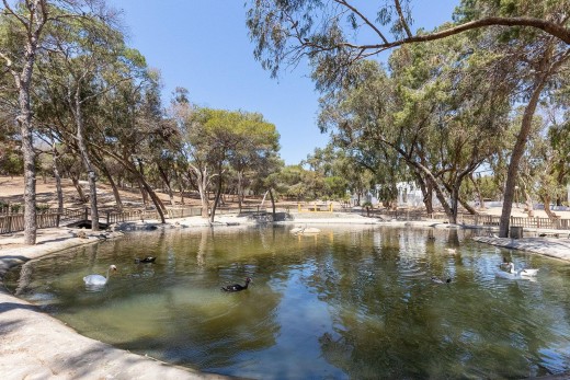 Revente - Attique - Guardamar del Segura - Pueblo