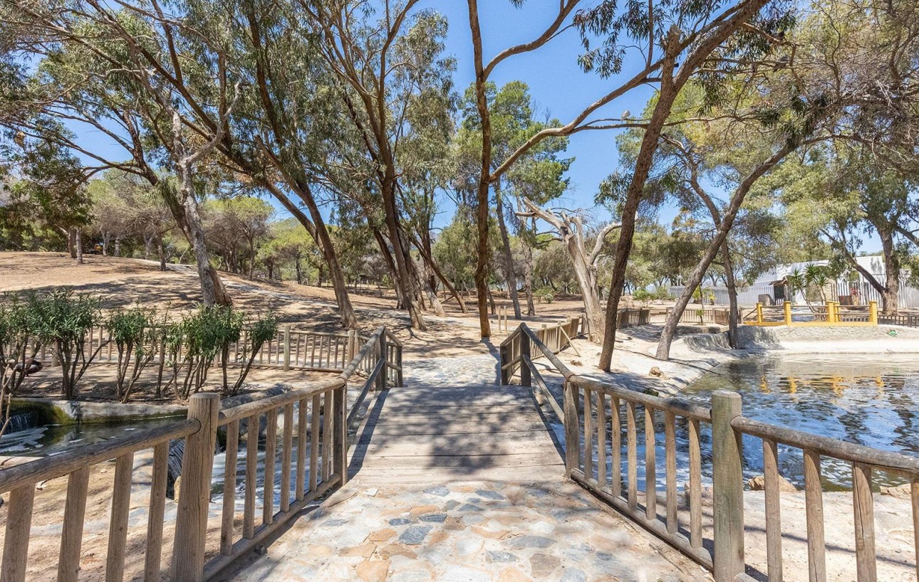 Revente - Attique - Guardamar del Segura - Pueblo