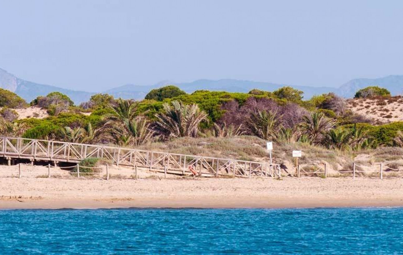 Revente - Attique - Guardamar del Segura - Pueblo