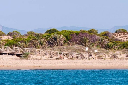 Revente - Attique - Guardamar del Segura - Pueblo