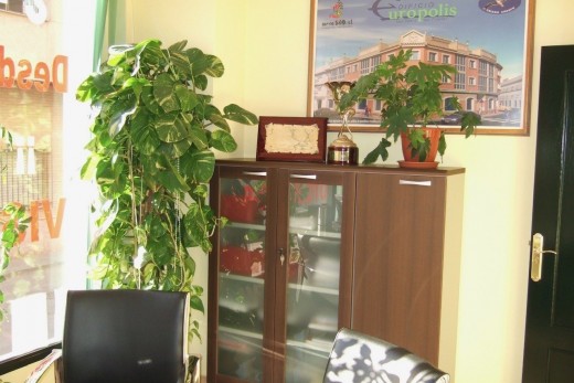 Sale - Local comercial - San Pedro del Pinatar - Av. Dr Artero Guirao