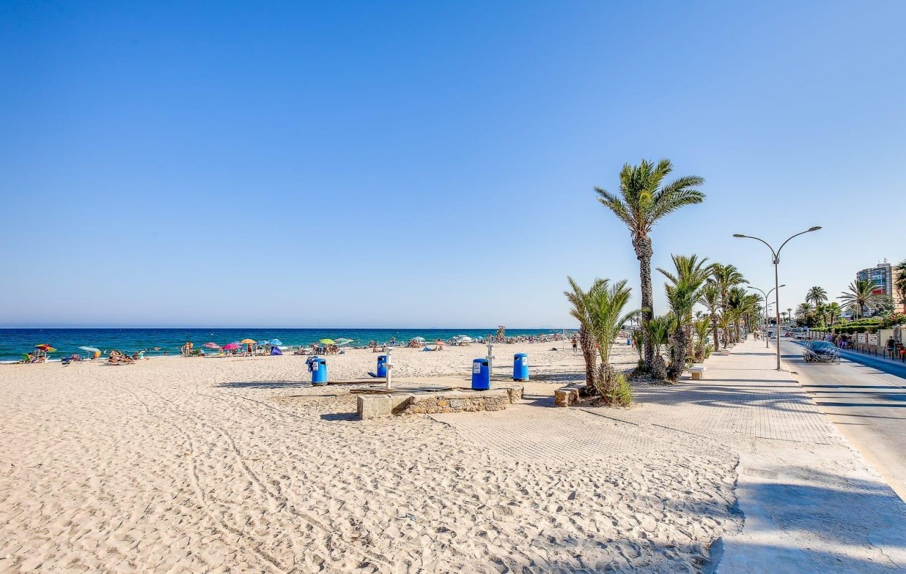 Venta - Estudio - Torrevieja - Playa de los locos