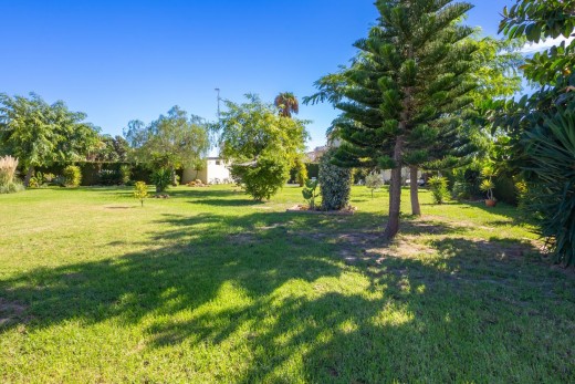 Venta - Chalet - Torrevieja - La Siesta - El Salado - Torreta