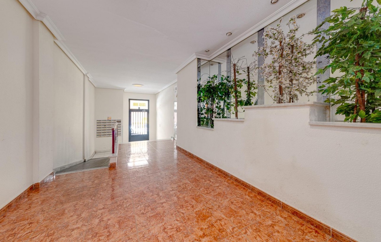 Venta - Apartamento - Torrevieja - Playa del cura