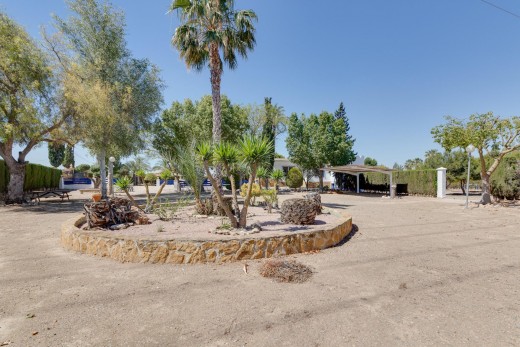 Venta - Chalet - Orihuela - Correntías Bajas