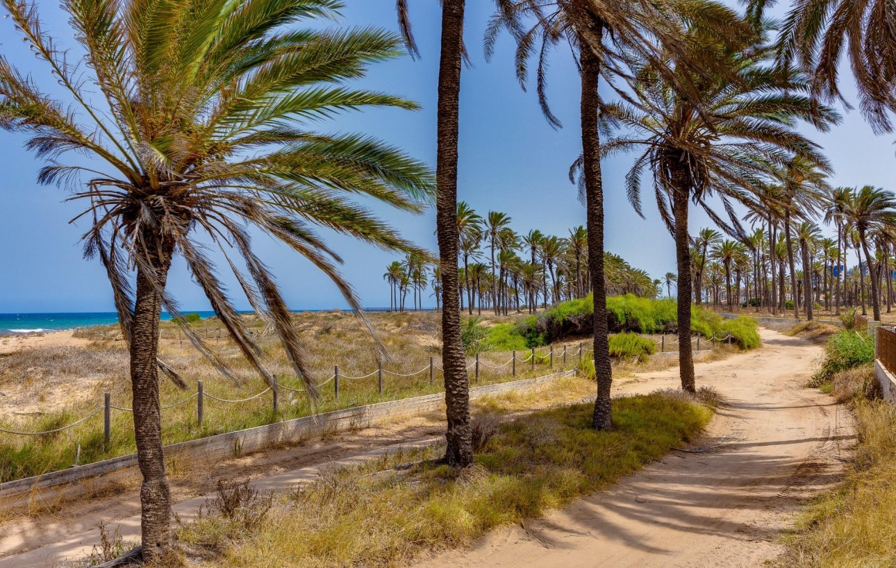 Sale - Bungalow - Torrevieja - Mar azul