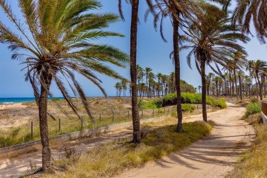 Sale - Bungalow - Torrevieja - Mar azul