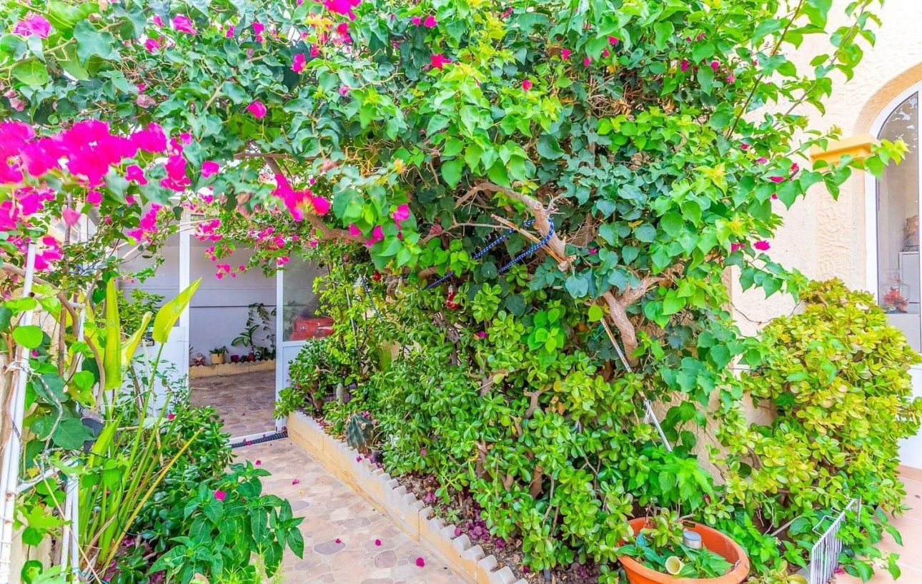 Venta - Chalet - Torrevieja - Los balcones