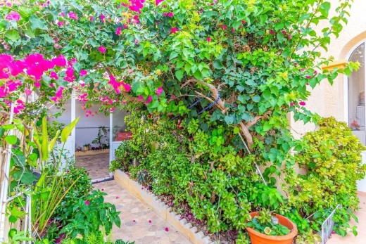 Venta - Chalet - Torrevieja - Los balcones