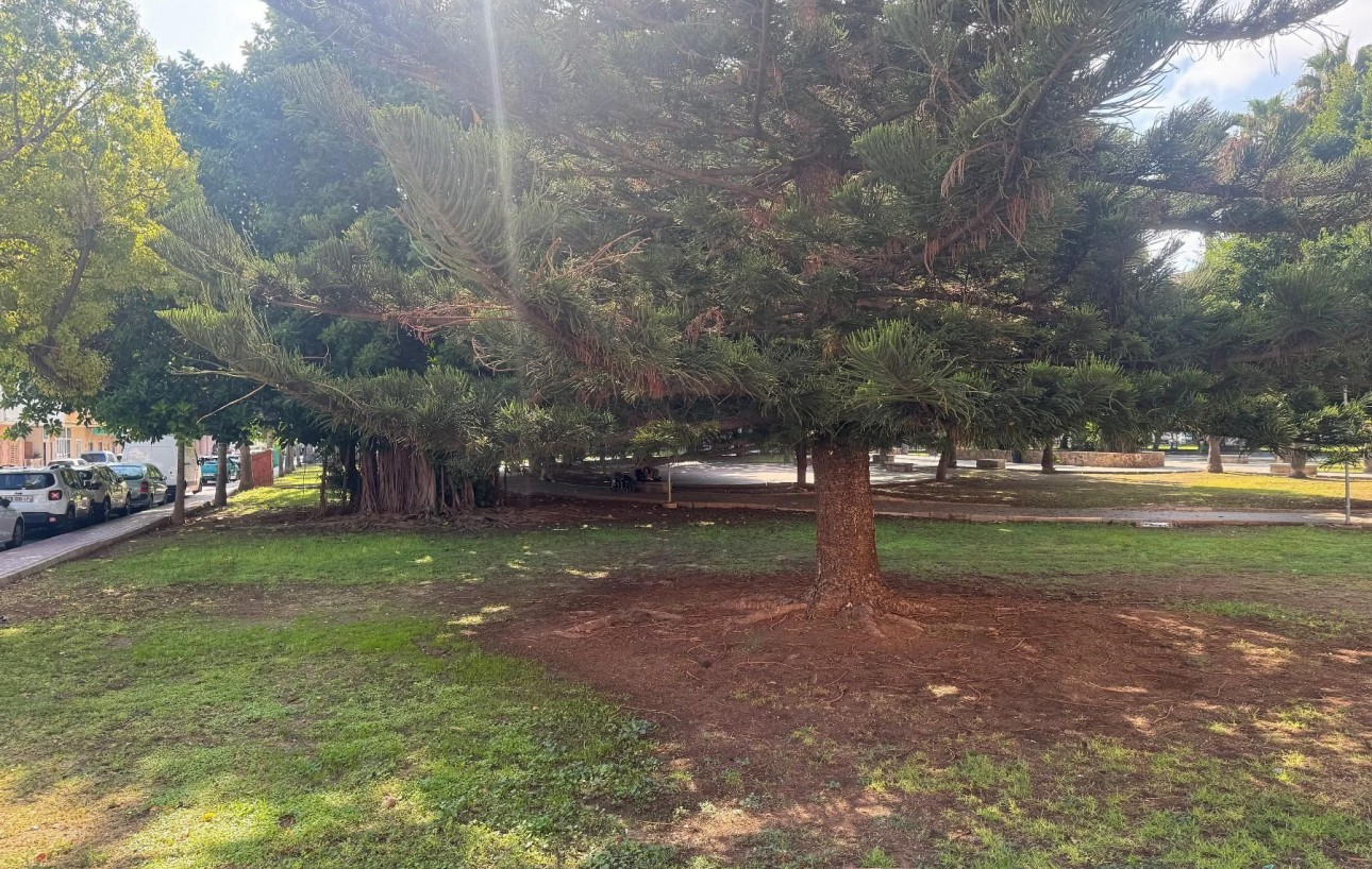 Venta - Apartamento - Torrevieja - Acequion