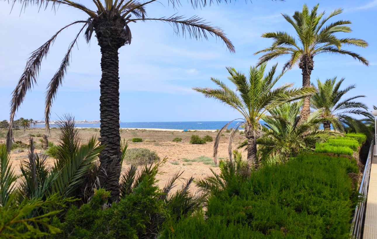 Resale - Lägenhet - Torrevieja - Punta prima