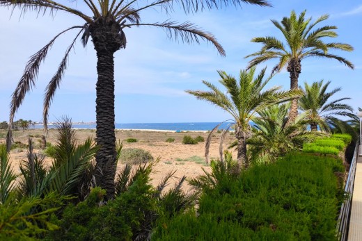 Resale - Lägenhet - Torrevieja - Punta prima