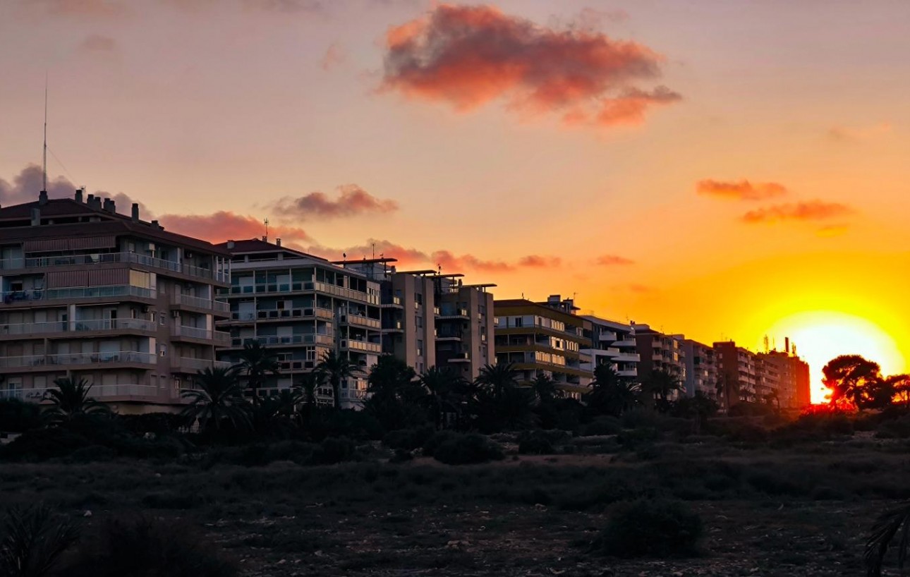 Resale - Lägenhet - Torrevieja - Punta prima