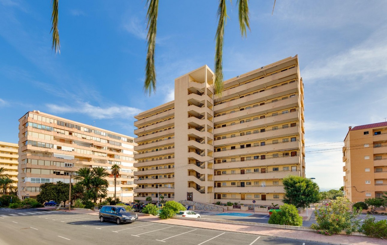 Resale - Lägenhet - Torrevieja - Cabo cervera