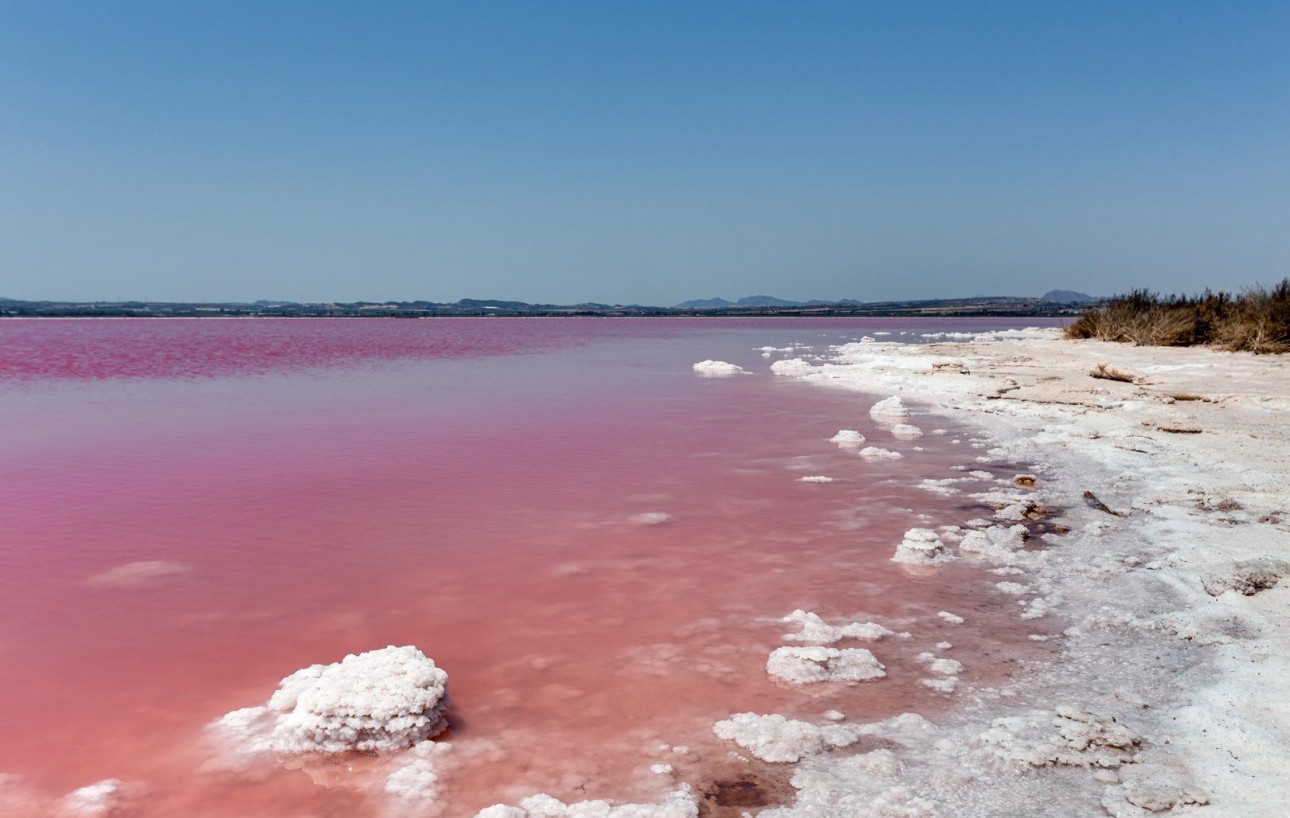 Sale - Townhouse - Torrevieja - La Siesta - El Salado - Torreta