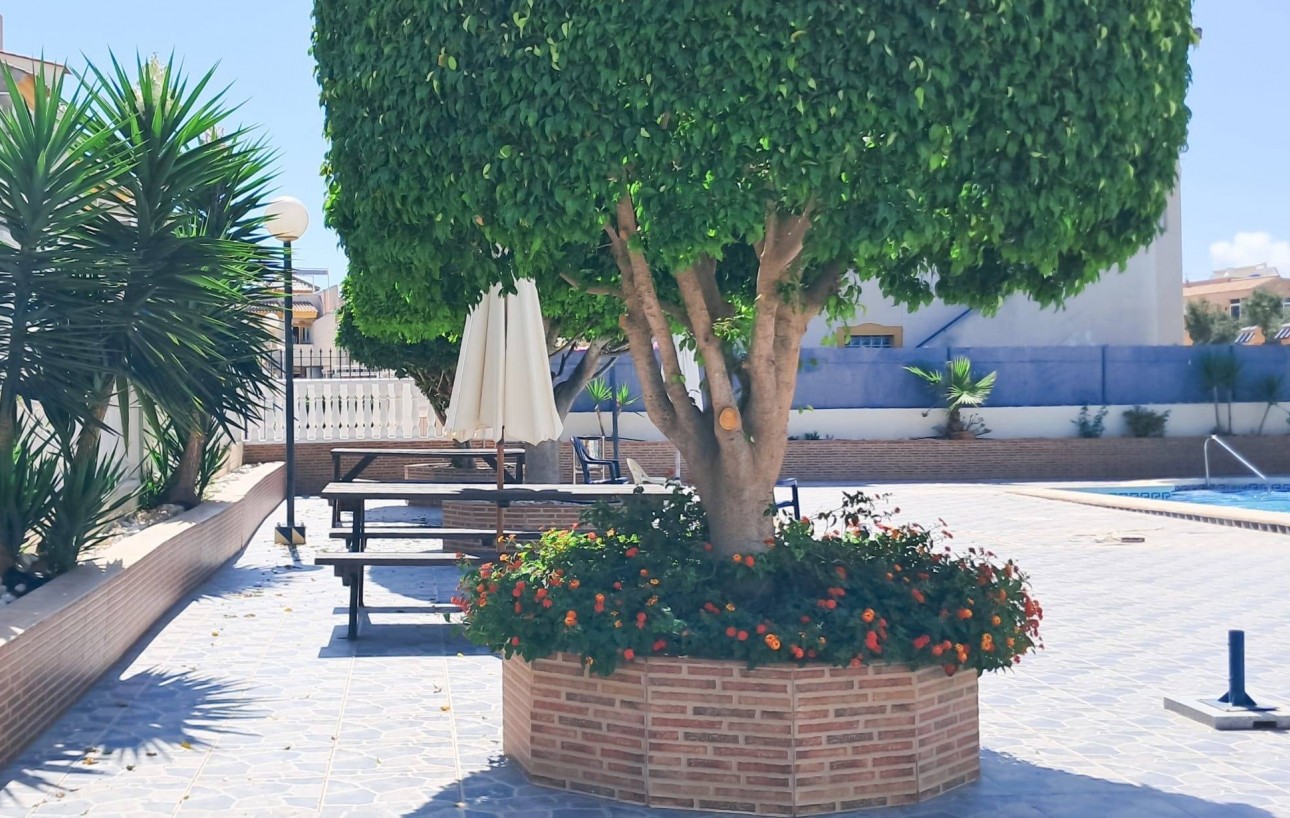 Resale - Ático Dúplex - Torrevieja - Parque Acuático - Sector 25