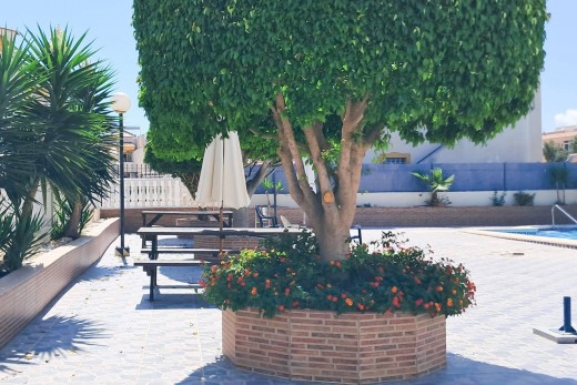 Resale - Ático Dúplex - Torrevieja - Parque Acuático - Sector 25