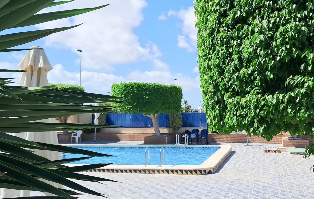 Resale - Ático Dúplex - Torrevieja - Parque Acuático - Sector 25