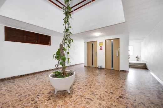 Resale - Wohnung - Torrevieja - Punta prima