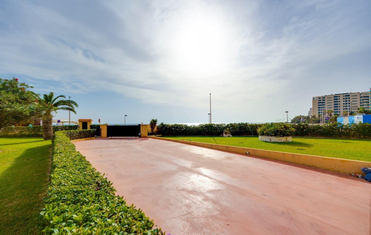 Resale - Wohnung - Torrevieja - Punta prima
