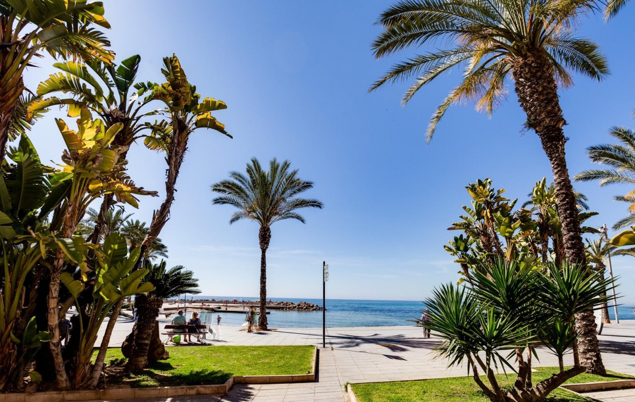 Resale - Wohnung - Torrevieja - Las Piscinas Naturales