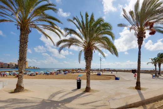 Resale - Wohnung - Torrevieja - Las Piscinas Naturales