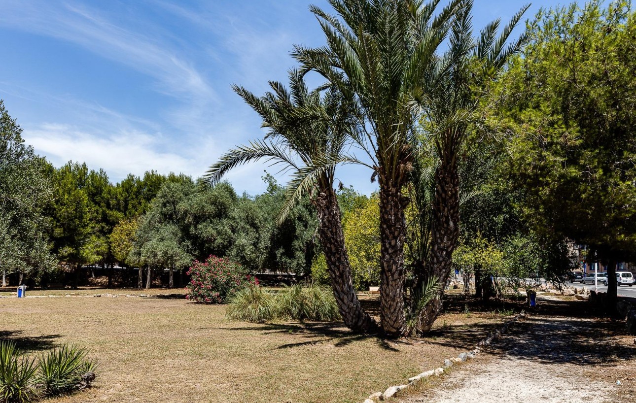 Resale - Wohnung - Torrevieja - Acequion