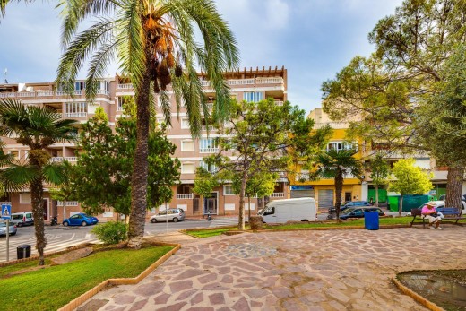Resale - Wohnung - Torrevieja - Playa del cura