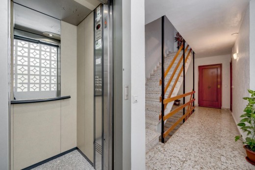 Venta - Apartamento - Torrevieja - torrevieja