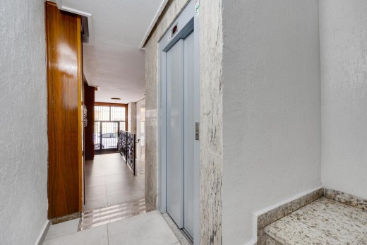 Venta - Apartamento - Torrevieja - torrevieja