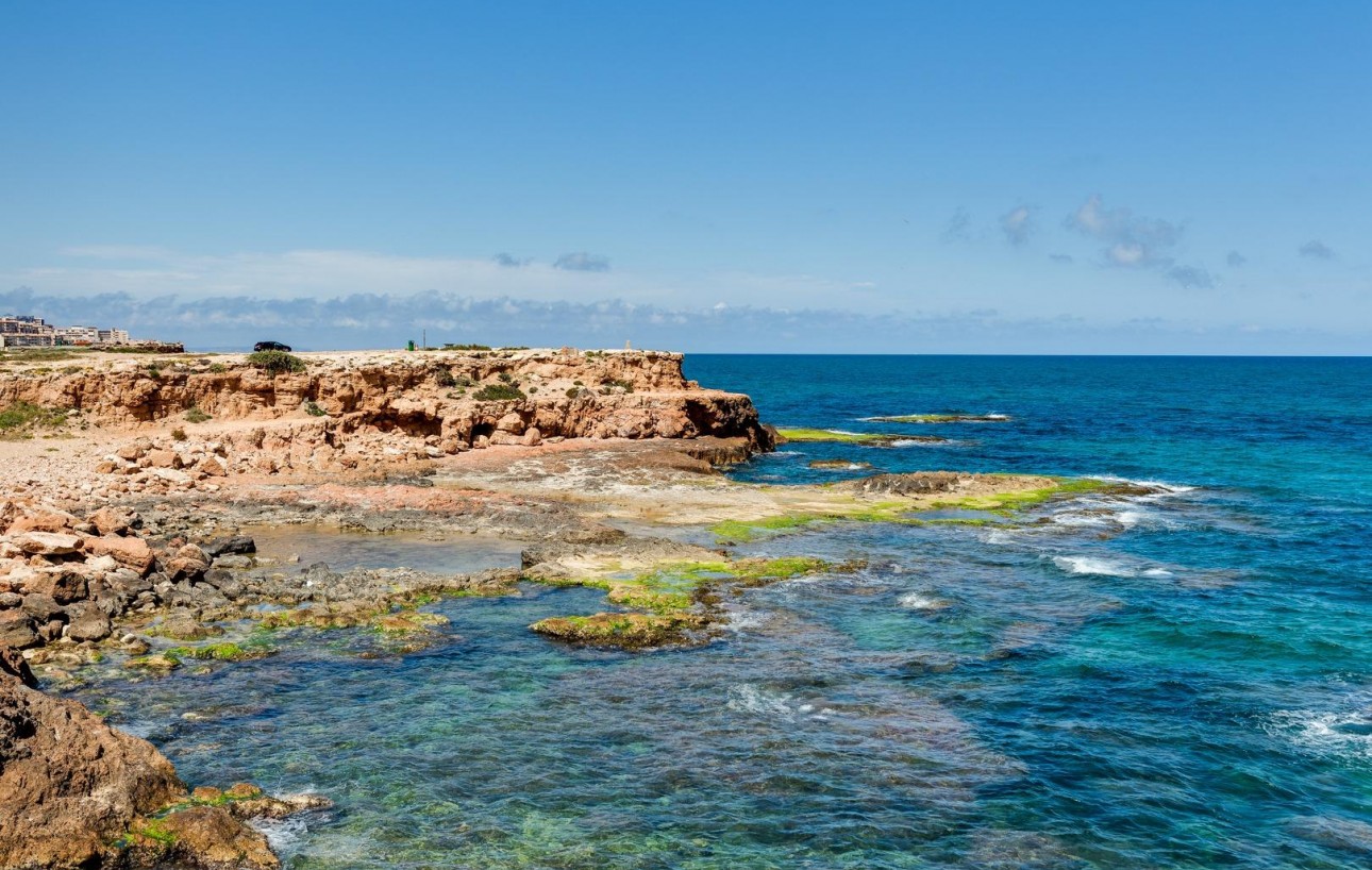 Sale - Chalet - Torrevieja - Los Frutales