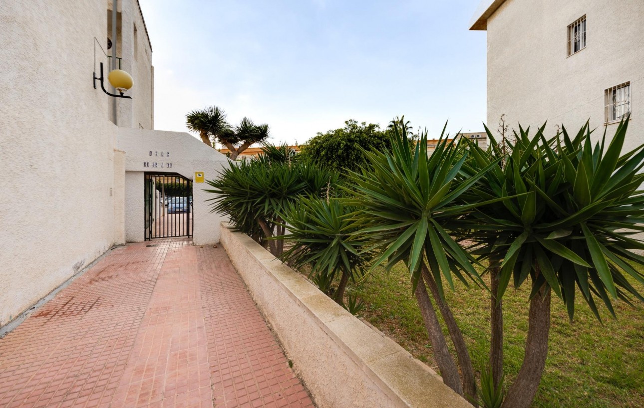 Revente - Appartement - Torrevieja - Calas blanca