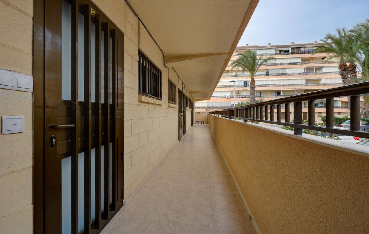 Sale - Apartment - Torrevieja - Cabo cervera