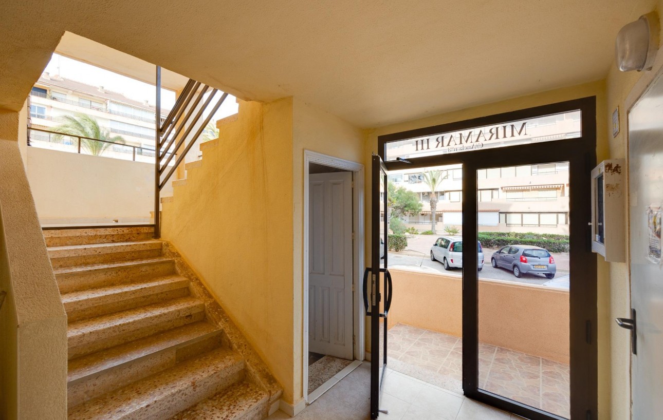 Sale - Apartment - Torrevieja - Cabo cervera