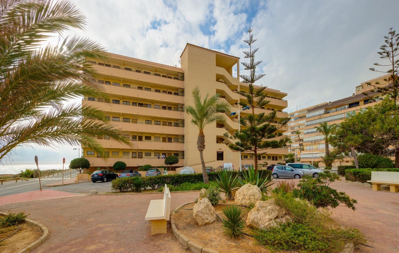 Sale - Apartment - Torrevieja - Cabo cervera