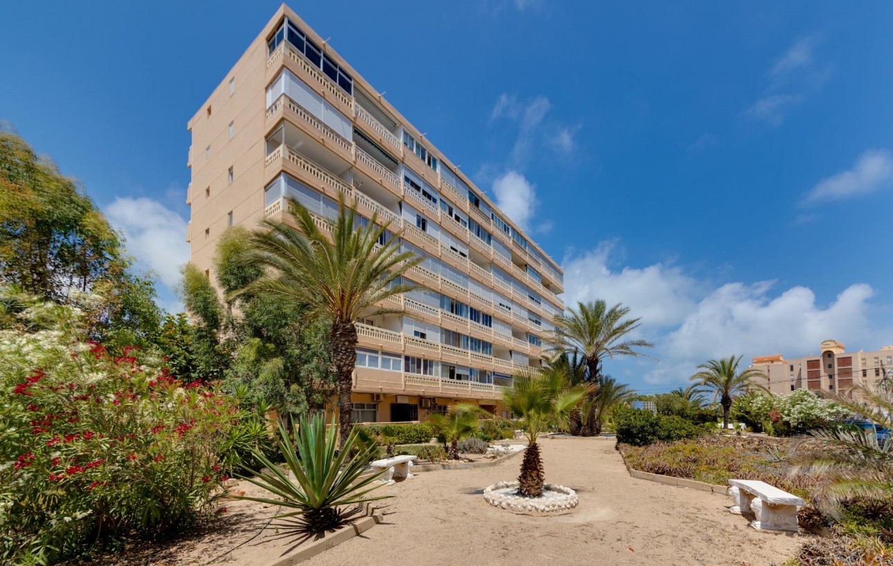 Revente - Appartement - Torrevieja - Los Europeos