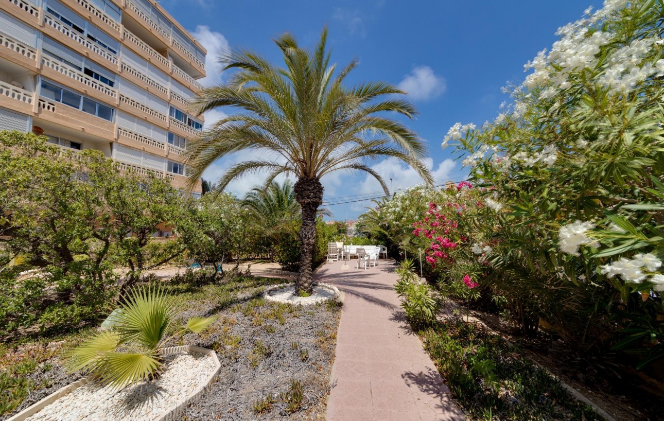 Revente - Appartement - Torrevieja - Los Europeos