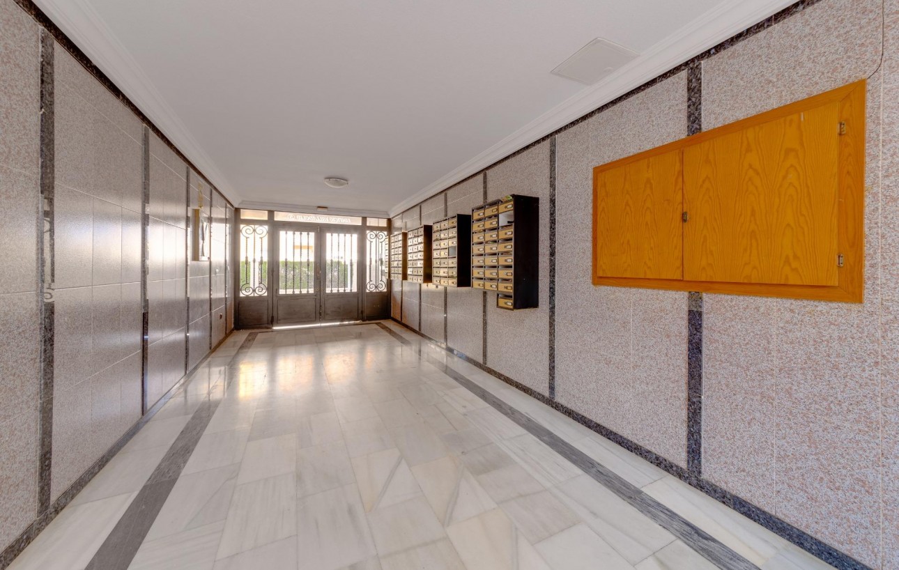 Revente - Étude - Torrevieja - Playa de los locos