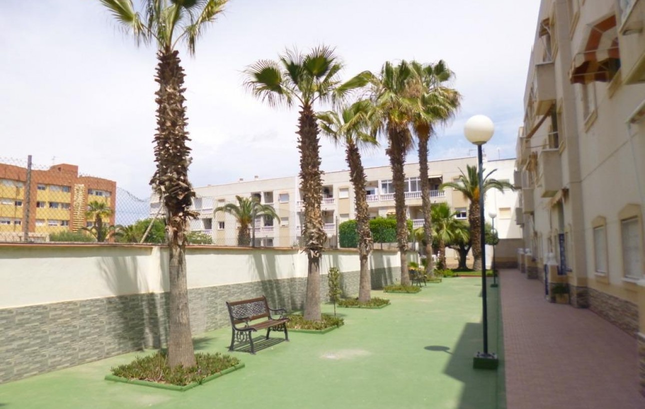 Resale - Penthouse - Torrevieja - Estacion de autobuses