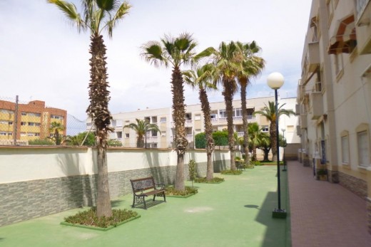 Resale - Penthouse - Torrevieja - Estacion de autobuses