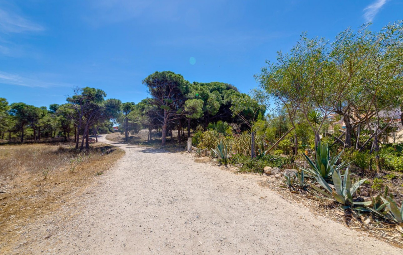 Resale - Lägenhet - Guardamar del Segura - Urbanizaciones