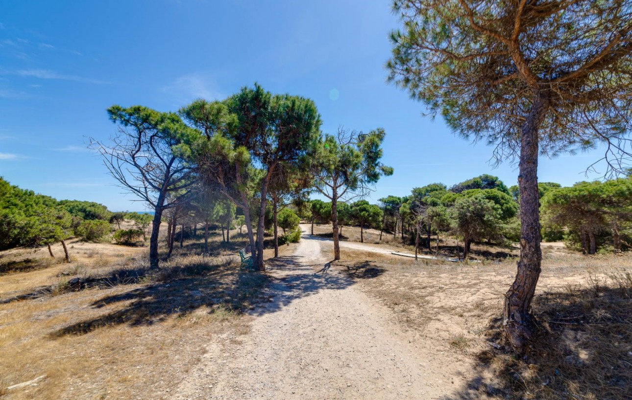 Resale - Lägenhet - Guardamar del Segura - Urbanizaciones