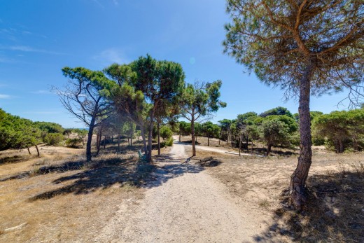 Resale - Lägenhet - Guardamar del Segura - Urbanizaciones