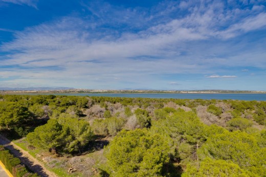 Revente - Appartement - Torrevieja - La Siesta - El Salado - Torreta