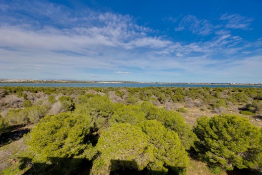 Revente - Appartement - Torrevieja - La Siesta - El Salado - Torreta