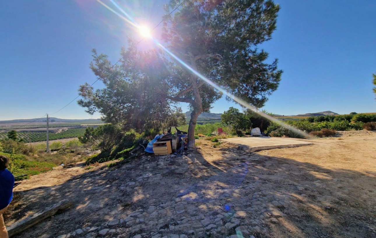 Resale - Casa - Orihuela - Desamparados-Hurchillo-Torremendo