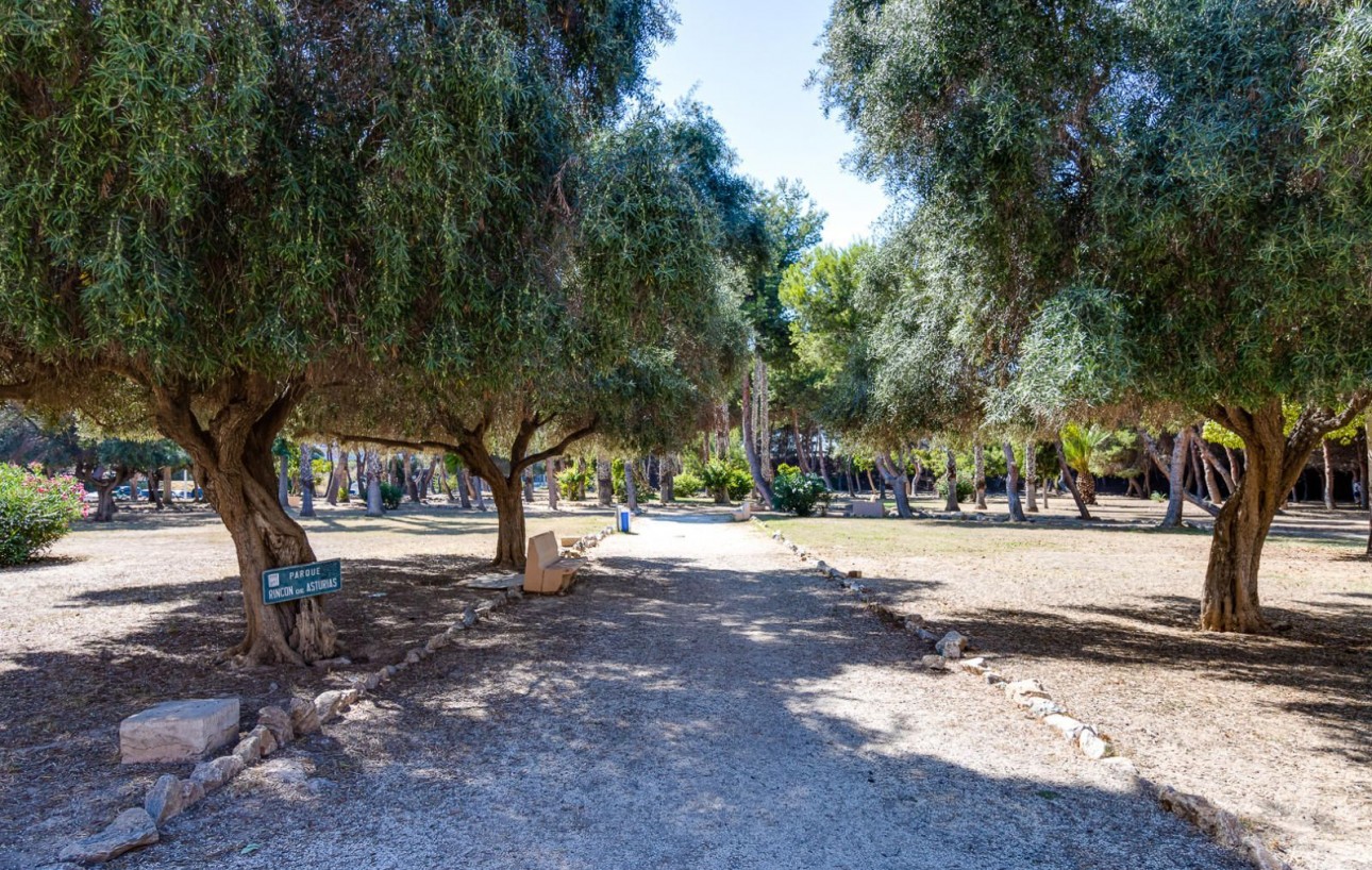 Resale - Lägenhet - Torrevieja - Acequion