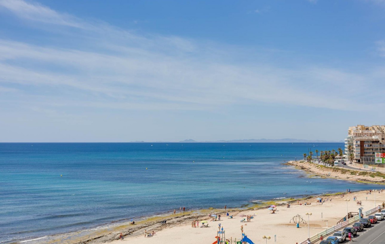 Revente - Étude - Torrevieja - Playa del cura