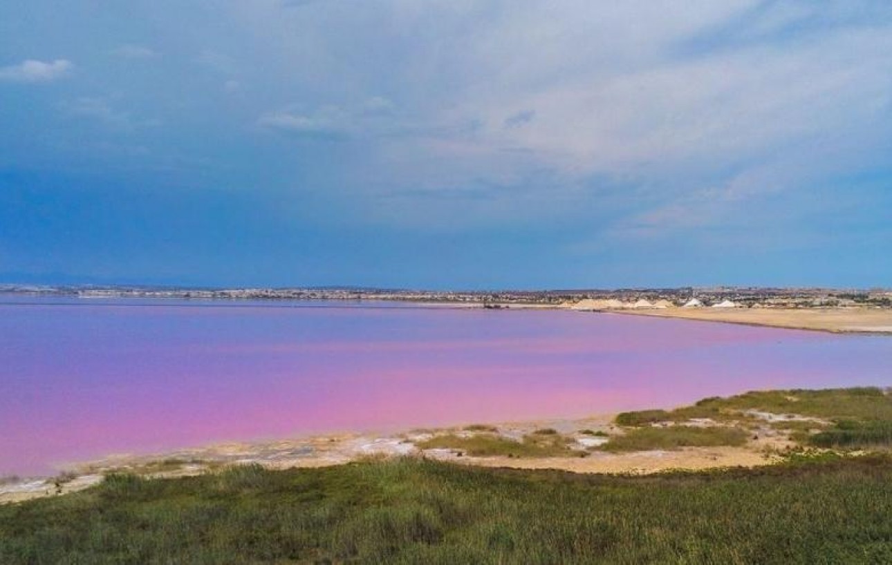 Resale - Piso - Torrevieja - Centro